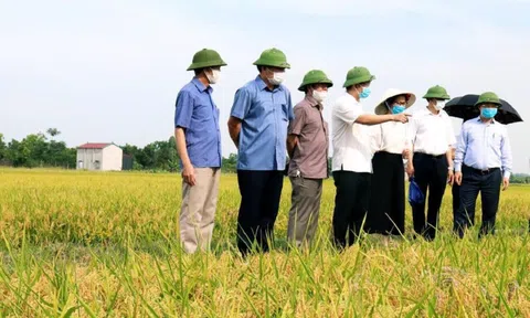 Nông nghiệp hữu cơ mở hướng cho kinh tế nông nghiệp phát triển