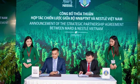 Nestlé thúc đẩy nền nông nghiệp phát thải thấp qua mô hình nông nghiệp tái sinh