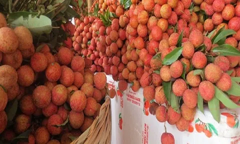 Chi phí logistics quá cao làm giảm tính cạnh tranh của nông sản Việt trên thị trường thế giới