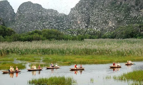 Huy động nguồn lực cho công tác bảo tồn và phục hồi thiên nhiên