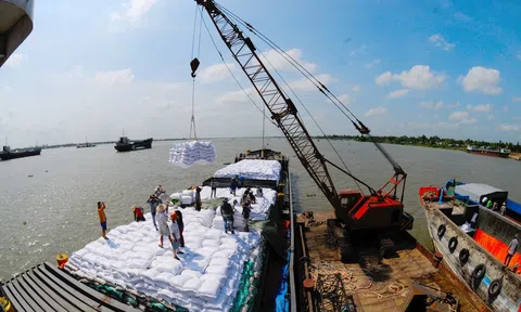 Xuất khẩu gạo Việt Nam 5 tháng tăng trưởng mạnh, vượt 3 triệu tấn