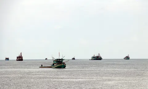 Cấm khai thác nghêu lụa, sò huyết, hến tại vùng ven bờ biển Kiên Giang từ ngày 1/7