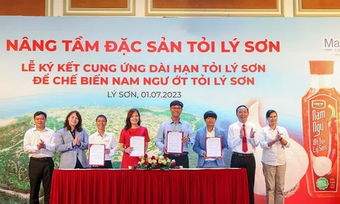 Lễ ký kết cung ứng dài hạn tỏi Lý Sơn để chế biến Nam Ngư Ớt Tỏi Lý Sơn