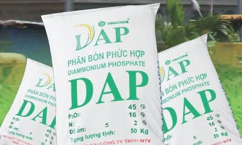 Phân bón phức hợp cao cấp DAP Đình Vũ, công dụng tuyệt vời đối với cây trồng