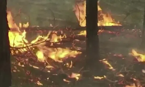 Vùng viễn Đông ở Nga ban bố tình trạng khẩn cấp vì cháy rừng