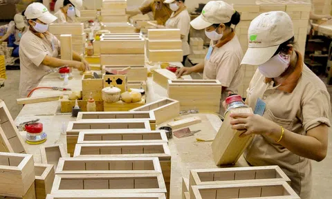 Giá trị xuất khẩu gỗ và lâm sản 6 tháng đầu năm đạt trên 6,4 tỷ USD