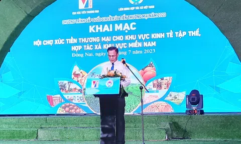 Mở rộng thị trường tiêu thụ sản phẩm khu vực kinh tế tập thể, Hợp tác xã khu vực miền Nam