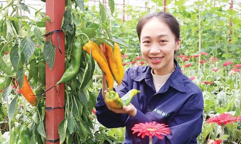 Nhiều triển vọng từ bán hàng nông sản online