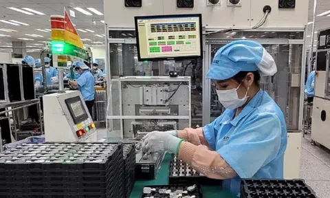 Việt Nam tiếp tục là điểm đến hàng đầu của các doanh nghiệp FDI