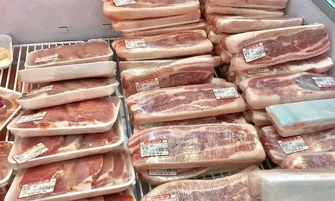 5 tháng đầu năm, Việt Nam chi gần nửa tỷ USD nhập khẩu thịt và các sản phẩm thịt