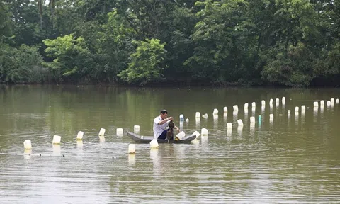 Vĩnh Phúc: Nông dân làm giàu từ nuôi trai nước ngọt lấy ngọc