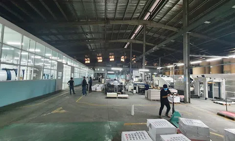 Văn phòng phẩm Hải Phòng bị phạt 85 triệu đồng vì không công bố thông tin