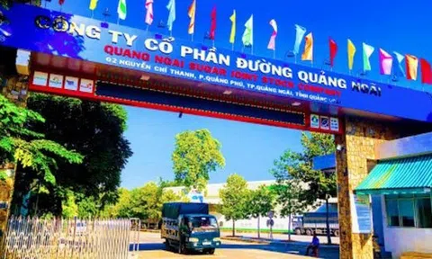Khai sai thuế Đường Quảng Ngãi bị bị phạt và truy thu hơn 155 triệu đồng