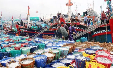 Tất cả cho mục tiêu tháng 10/2023 gỡ thẻ vàng IUU