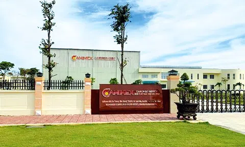 Camimex lên kế hoạch huy động 300 tỷ đồng trái phiếu
