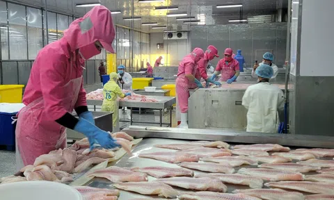 Phó Thủ tướng Lê Minh Khái chỉ đạo xem xét gỡ khó cho doanh nghiệp thủy sản