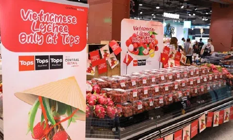 Vải thiều Lục Ngạn có giá bán hơn 170.000 đồng/kg tại thị trường Thái Lan