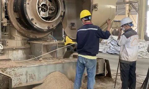 Giá trị xuất khẩu viên nén tăng 34 lần trong 10 năm