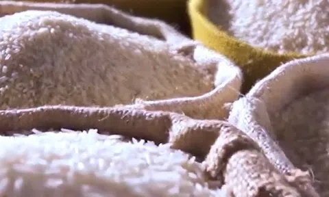 Ấn Độ xem xét cấm xuất khẩu hầu hết các loại gạo