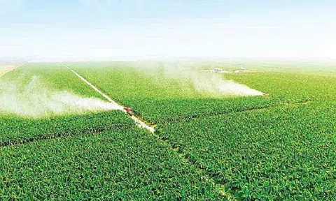 Cần chính sách đột phá để thu hút đầu tư phát triển nền "nông nghiệp xanh"