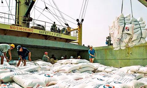 Xuất khẩu gạo sang Thổ Nhĩ Kỳ tăng đột biến gần 16.000% so cùng kỳ
