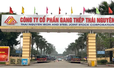 Kết quả kinh doanh Quý 2/2023 Gang thép Thái Nguyên báo lỗ lịch sử gần 100 tỷ đồng