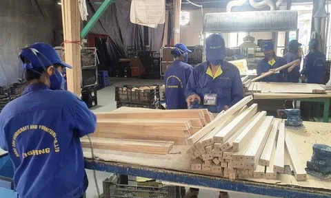 Hợp tác, tìm kiếm vùng nguyên liệu cho sản phẩm làng nghề