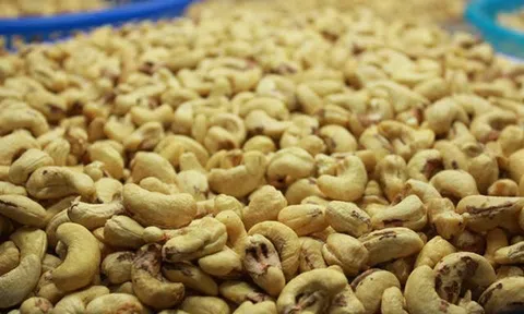 Cảnh báo lừa đảo xuất khẩu nông sản sang thị trường UAE