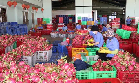 Khẳng định thương hiệu, nâng cao giá trị đặc sản địa phương