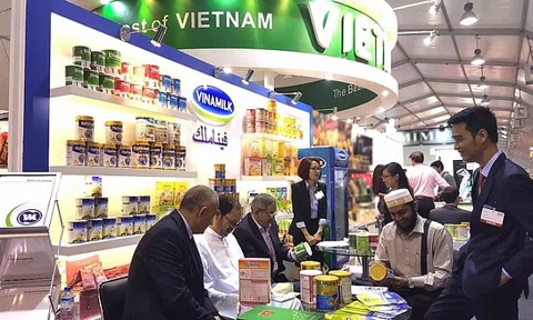 Hỗ trợ doanh nghiệp xuất khẩu trước xu hướng phi toàn cầu hoá trỗi dậy mạnh mẽ