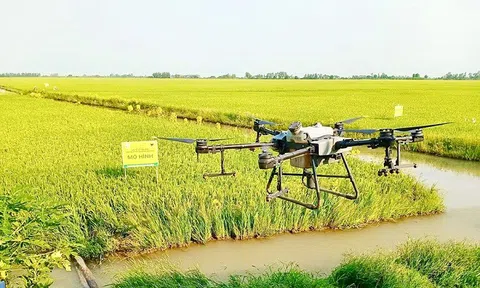 Giảm phát thải khí nhà kính trong lĩnh vực sản xuất nông nghiệp