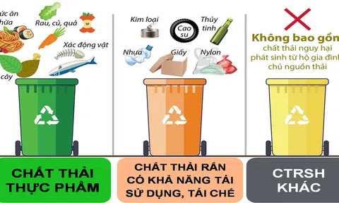 Sản xuất hữu cơ tái sử dụng phụ phẩm thải ra trong nông nghiệp và hạn chế rác thải nhựa