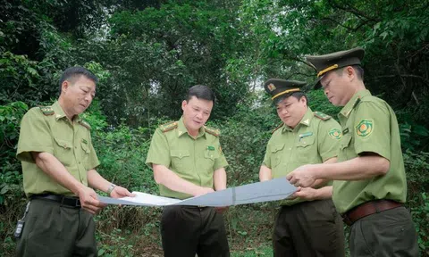 Kiểm lâm Thái Nguyên: Phát huy vai trò lực lượng nòng cốt trong công tác bảo vệ rừng