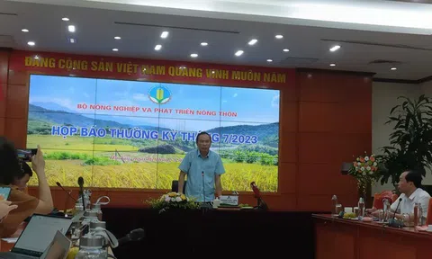 Việt Nam sẵn sàng cho cơ hội xuất khẩu gạo chưa từng có