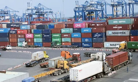 Khuyến cáo doanh nghiệp cảnh giác trước chiêu lừa xuất khẩu hàng hóa sang Canada