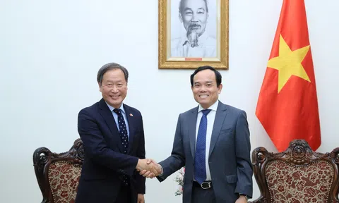 Phó Chủ tịch điều hành cấp cao JICA thăm và hội đàm với lãnh đạo cấp cao Việt Nam