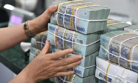 Ngành Thuế thu ngân sách nhà nước tháng 7 đạt 118.200 tỷ đồng
