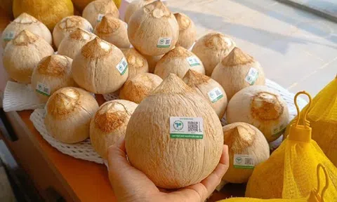 Trái dừa Việt Nam đã được cấp “visa” sang Mỹ