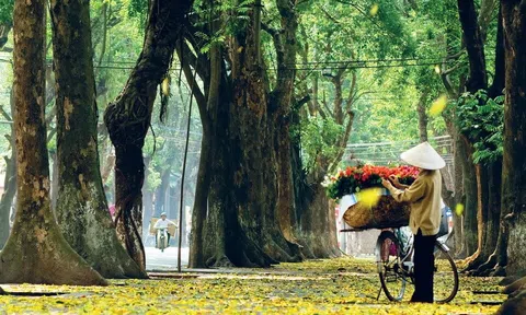 Festival Thu Hà Nội năm 2023: "Thu Hà Nội - Đến để yêu"