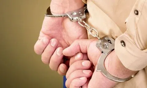 Việt Nam hỗ trợ bắt giữ và di lý 2 tội phạm nguy hiểm cho Mỹ