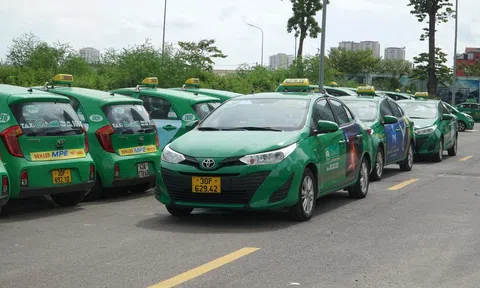 Mai Linh thay thế 10.000 taxi cũ bằng các mẫu xe mang thương hiệu Toyota