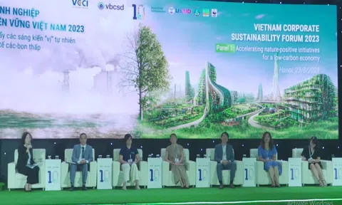 Doanh nghiệp và bài toán bảo vệ môi trường, ứng phó biến đổi khí hậu