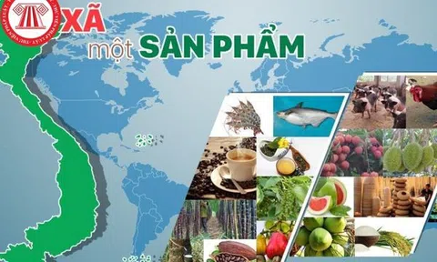 Tạp chí Doanh nghiệp & Kinh tế xanh đồng hành cùng doanh nghiệp lan toả các sản phẩm OCOP