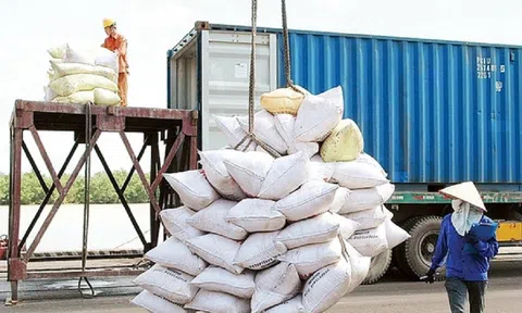 Tăng cơ hội đưa gạo Việt Nam tiếp cận thị trường Anh