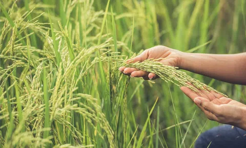 Để nền khoa học và công nghệ Việt Nam không tụt hậu so với thế giới