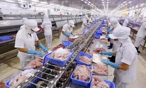 Cân bằng giữa khai thác và nuôi trồng để ngành thủy sản phát triển bền vững