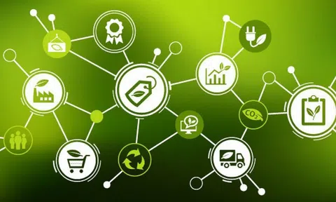 Doanh nghiệp chia sẻ kinh nghiệm quản lý chuỗi cung ứng xanh