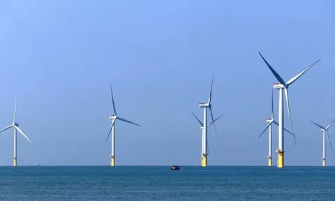 Bình Thuận mở cửa đón nhà đầu tư phát triển điện gió ngoài khơi