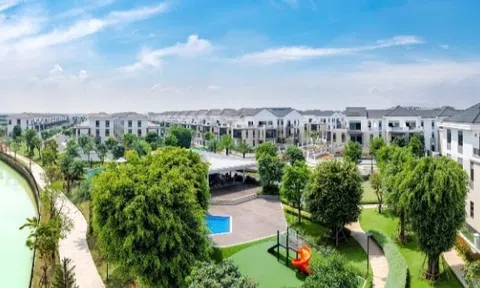 Lợi nhuận sau thuế của Novaland trong Báo cáo tài chính 6 tháng năm 2023 giảm do trích lập dự phòng