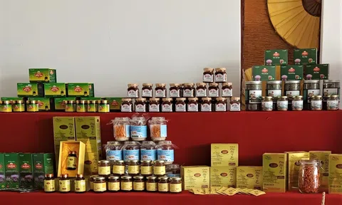 Đưa sản các sản phẩm OCOP tới gần hơn với người tiêu dùng